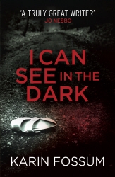 Book cover of I Can See in the Dark by Karin Fossum
