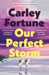 Book cover of Our Perfect Storm by Carley Fortune