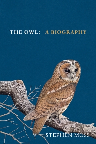 Book cover of #5 - The Owl by Stephen Moss