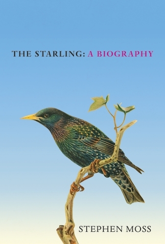 Book cover of #6 - The Starling by Stephen Moss