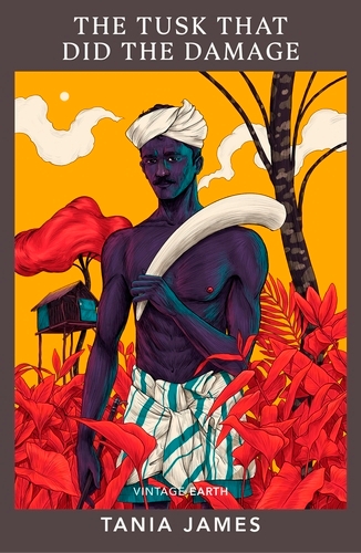 Book cover of The Tusk That Did the Damage by Tania James