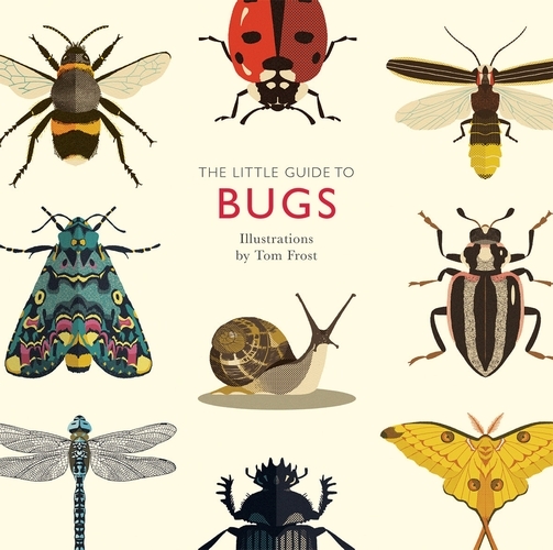 Book cover of The Little Guide to Bugs by Alison Davies