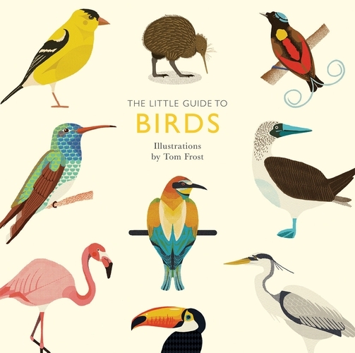 Book cover of The Little Guide to Birds by Alison Davies