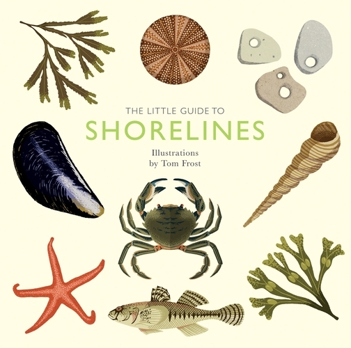 Book cover of The Little Guide to Shorelines by Alison Davies