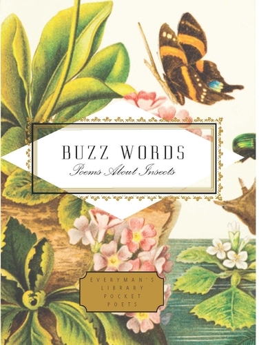 Book cover of Buzz Words