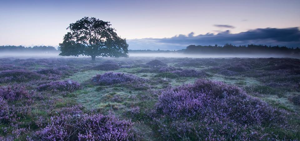 The inspiration for an asylum set on the Yorkshire Moors