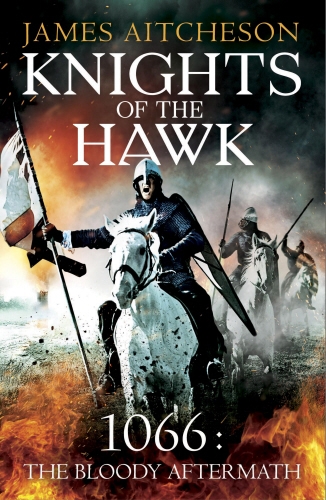 Book cover of #3 - Knights of the Hawk by James Aitcheson