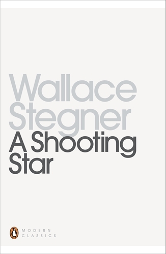 Book cover of A Shooting Star by Wallace Stegner