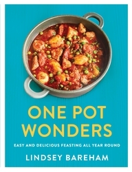 Book cover of One Pot Wonders by Lindsey Bareham