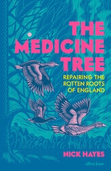 Book cover of The Medicine Tree by Nick Hayes