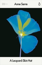 Book cover of A Leopard-Skin Hat by Anne Serre