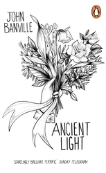 Book cover of Ancient Light by John Banville