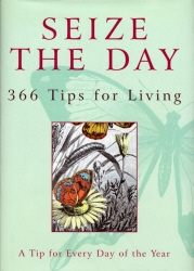 Book cover of Seize The Day by Nicholas Albery