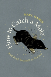 Book cover of How to Catch a Mole by Marc Hamer