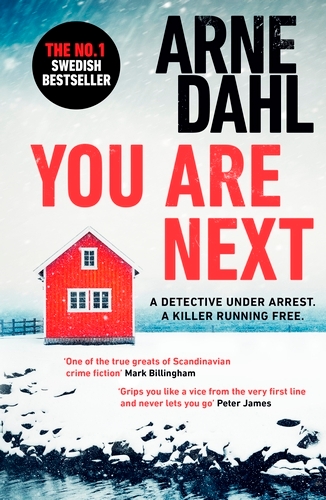Book cover of #3 - You Are Next by Arne Dahl