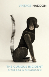 Book cover of The Curious Incident of the Dog in the Night-time by Mark Haddon