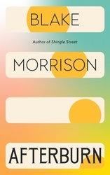 Book cover of Afterburn by Blake Morrison