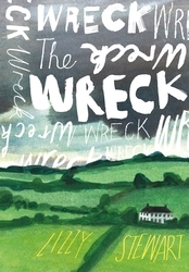 Book cover of The Wreck by Lizzy Stewart