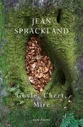 Book cover of Goyle, Chert, Mire by Jean Sprackland
