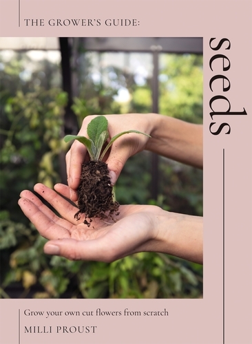 Book cover of Seeds by Milli Proust