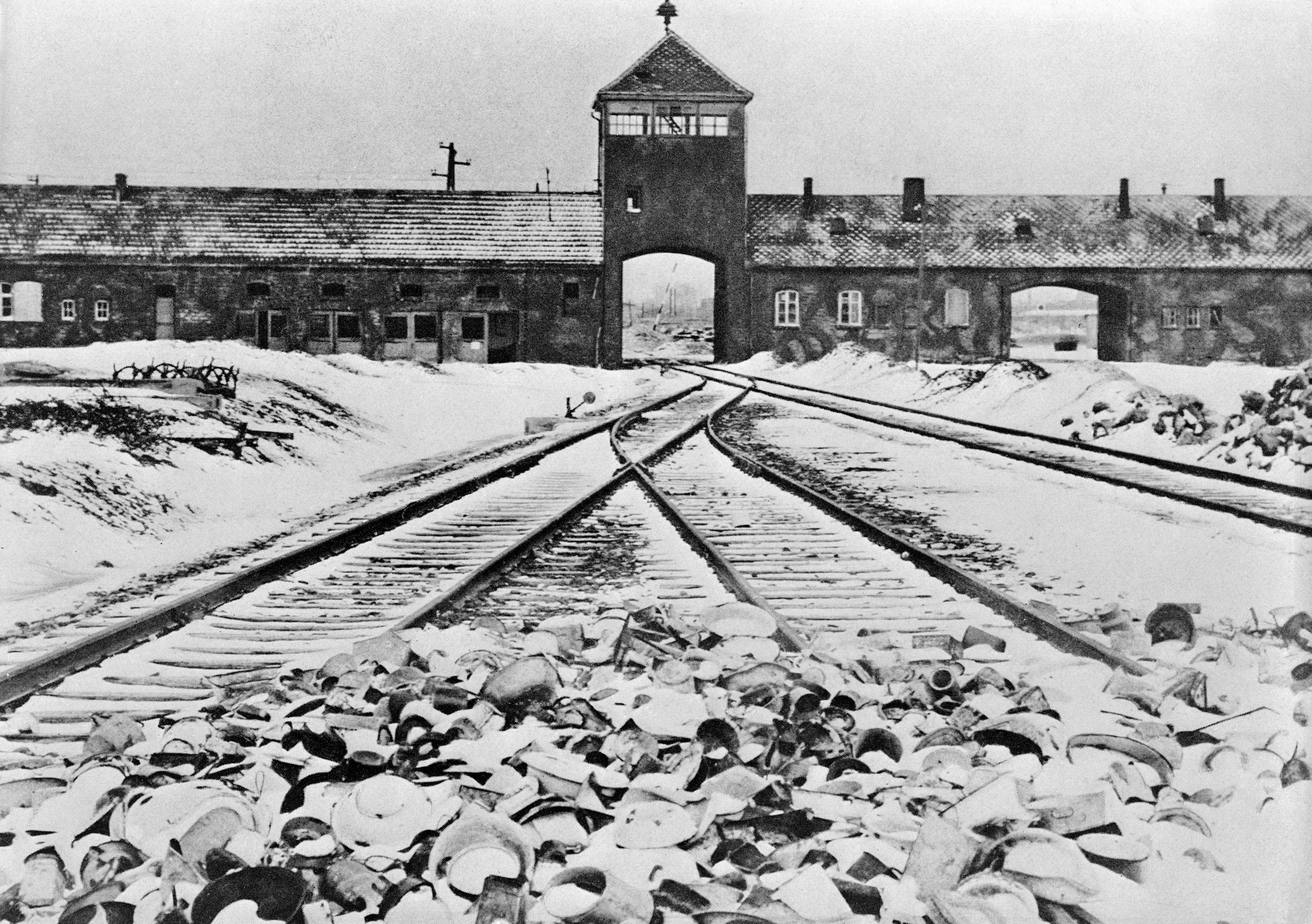 Auschwitz remembered: Jack Fairweather’s essential reading on the Holocaust