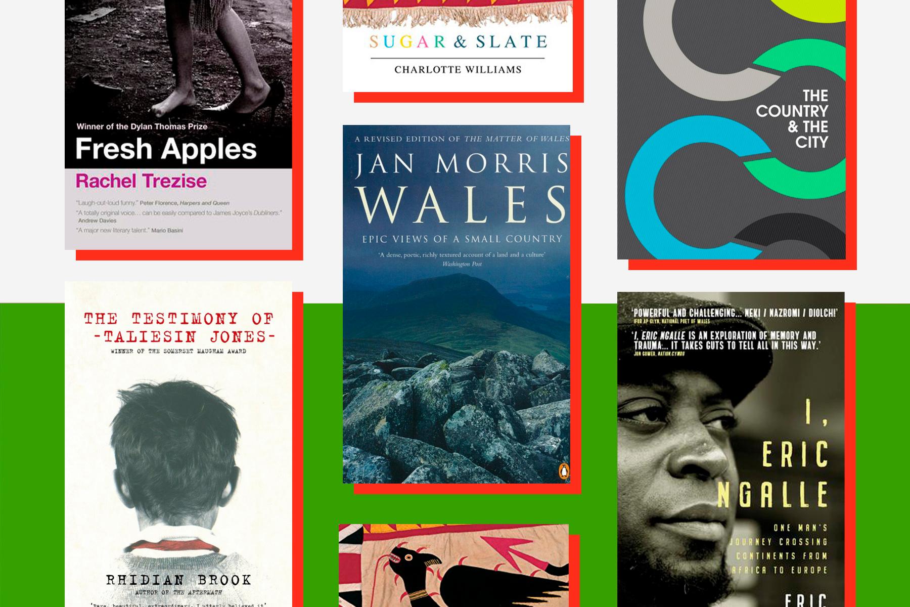10 books by Welsh authors you should read