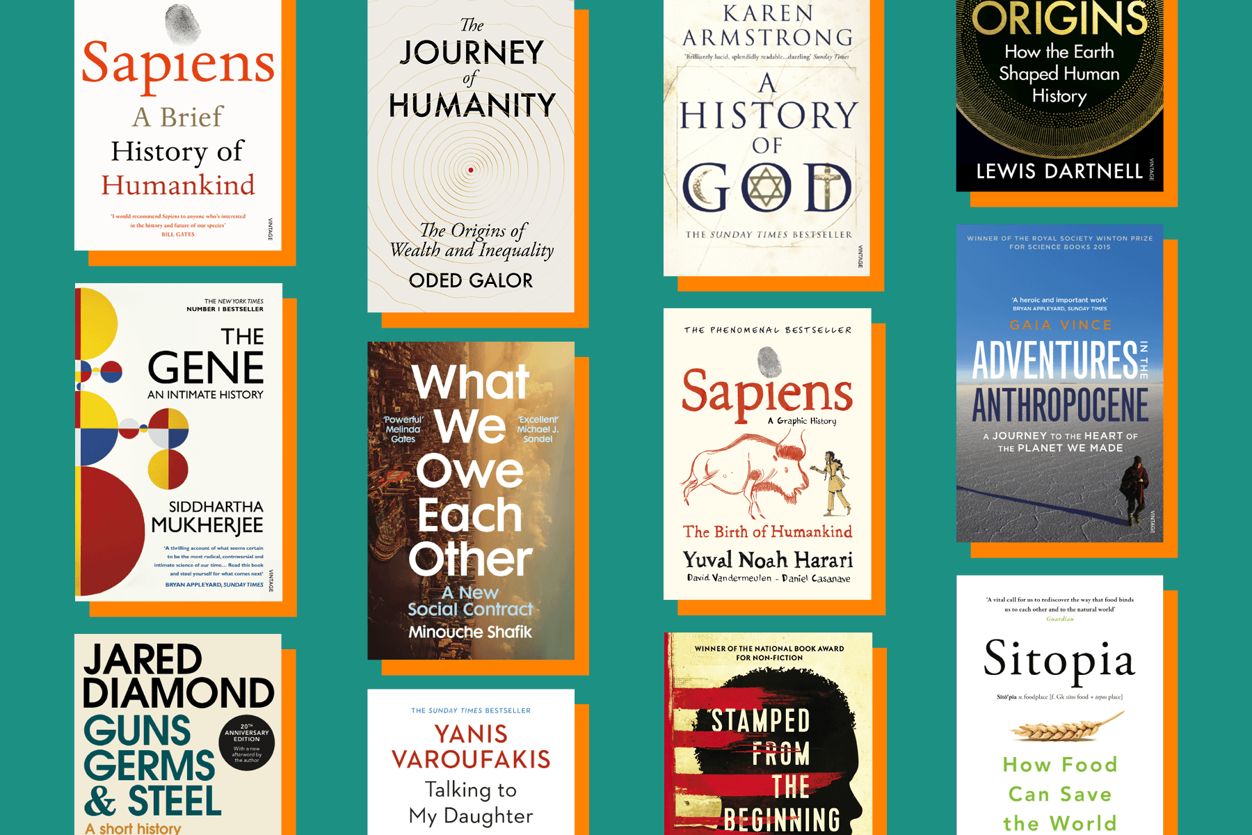 What to read if you loved Sapiens by Yuval Noah Harari