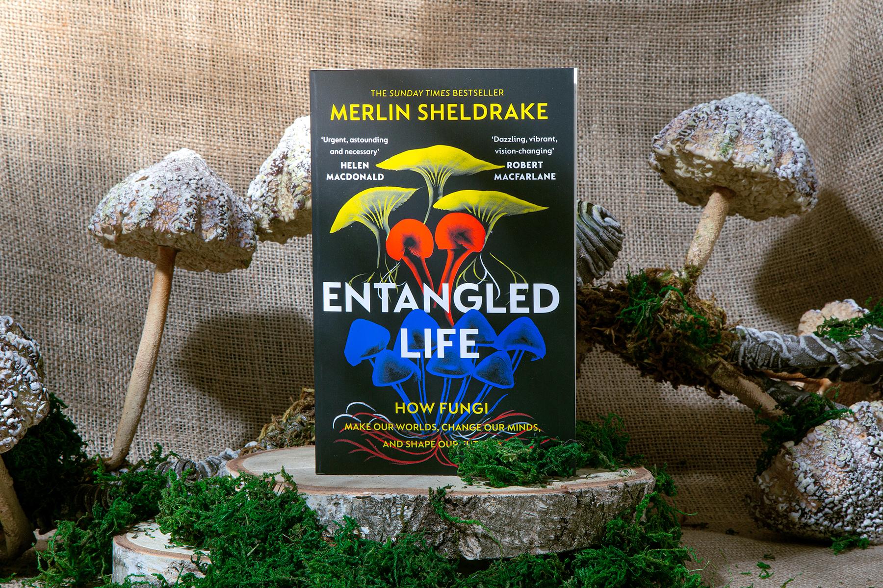 What to read if you loved Entangled Life by Merlin Sheldrake