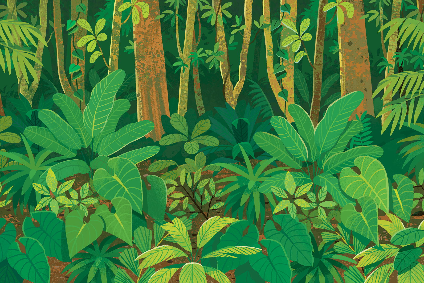 An illustration by Kim Smith from The Green Planet. It shows a jungle of plants